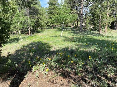 335 S Ridge Rd, Bailey, CO 80421 photo 32