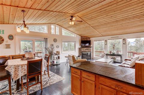 335 S Ridge Rd, Bailey, CO 80421 photo 9