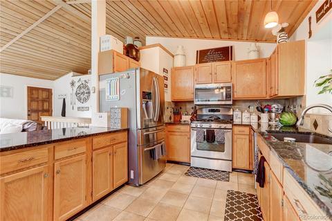335 S Ridge Rd, Bailey, CO 80421 photo 11
