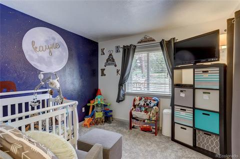 335 S Ridge Rd, Bailey, CO 80421 photo 21