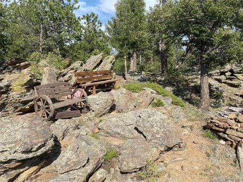 335 S Ridge Rd, Bailey, CO 80421 photo 34