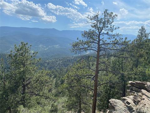 335 S Ridge Rd, Bailey, CO 80421 photo 4