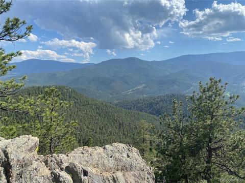 335 S Ridge Rd, Bailey, CO 80421 photo 3