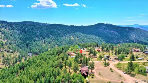 43 Star Ln, Bailey, CO 80421 photo 3