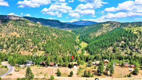 43 Star Ln, Bailey, CO 80421 photo 29
