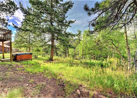 43 Star Ln, Bailey, CO 80421 photo 5