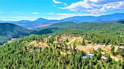 43 Star Ln, Bailey, CO 80421 photo 7