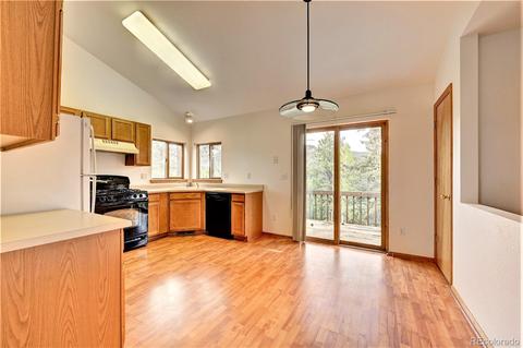 43 Star Ln, Bailey, CO 80421 photo 11
