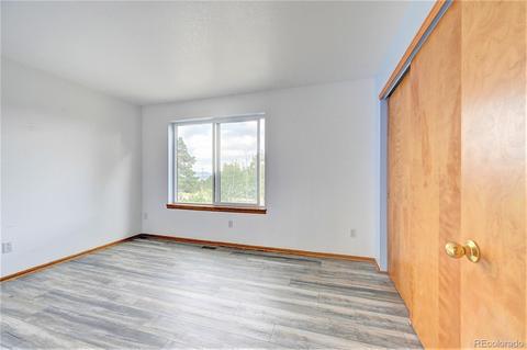 43 Star Ln, Bailey, CO 80421 photo 14