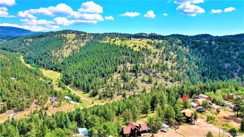 43 Star Ln, Bailey, CO 80421 photo 6