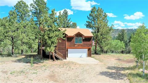 43 Star Ln, Bailey, CO 80421 photo 27