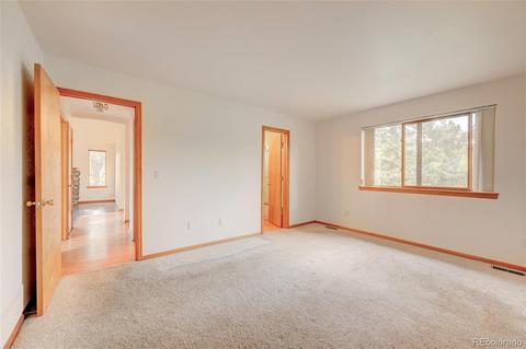 43 Star Ln, Bailey, CO 80421 photo 15