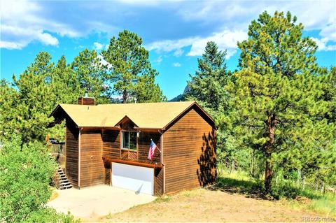 43 Star Ln, Bailey, CO 80421 photo 25