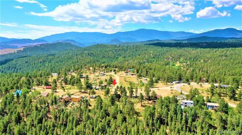 43 Star Ln, Bailey, CO 80421 photo 26
