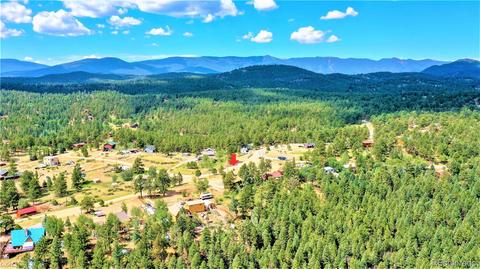 43 Star Ln, Bailey, CO 80421 photo 23