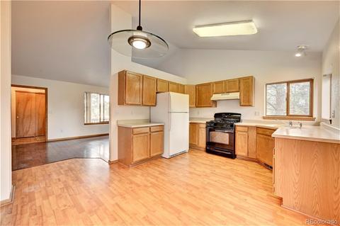 43 Star Ln, Bailey, CO 80421 photo 13