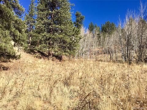 502 Gross Rd, Bailey, CO 80421 photo 7