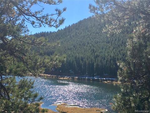 502 Gross Rd, Bailey, CO 80421 photo 4