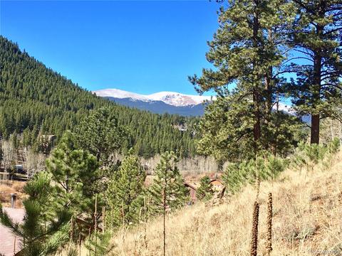 502 Gross Rd, Bailey, CO 80421 photo 2