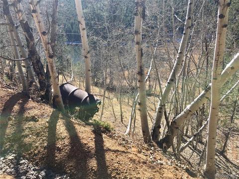 502 Gross Rd, Bailey, CO 80421 photo 9