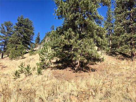 502 Gross Rd, Bailey, CO 80421 photo 6