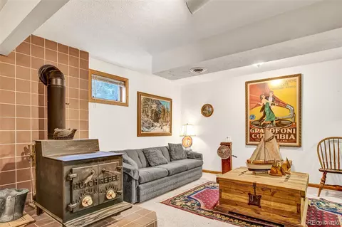 Other - 389 Peterson Dr, Alma, CO 80420 photo 3 of 8