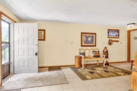 Entry Way - 389 Peterson Dr, Alma, CO 80420 photo 8 of 8