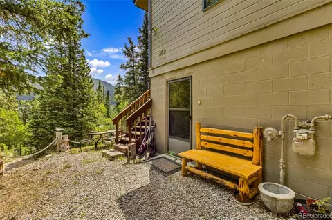 Other - 389 Peterson Dr, Alma, CO 80420 photo 4 of 8