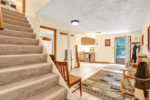 Entry Way - 389 Peterson Dr, Alma, CO 80420 photo 6 of 8