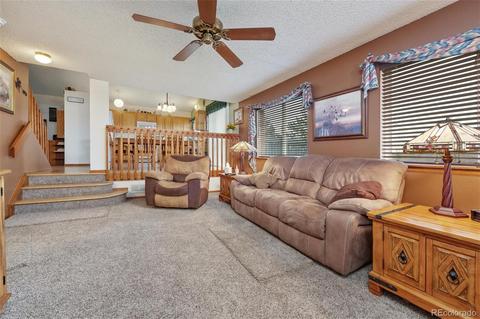 2940 E 121st Ct, Thornton, CO 80241 photo 3