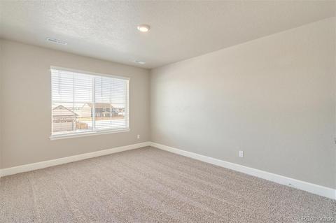 587 Fall River Ct, Brighton, CO 80601 photo 23