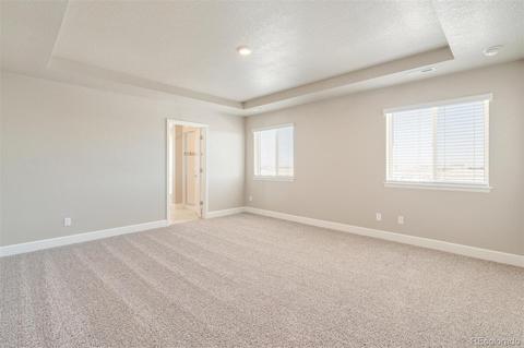 587 Fall River Ct, Brighton, CO 80601 photo 16
