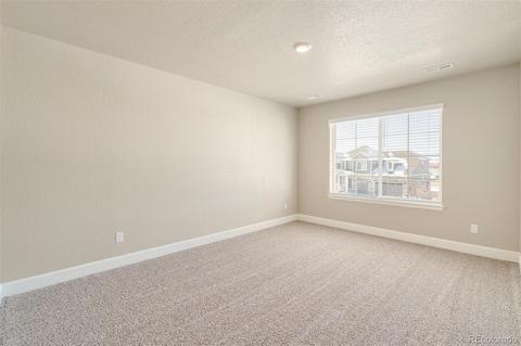 587 Fall River Ct, Brighton, CO 80601 photo 20