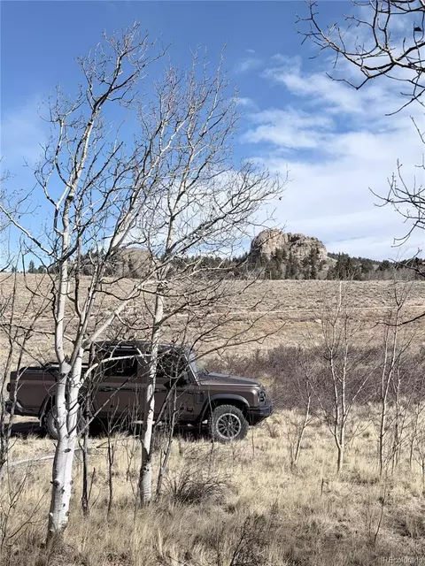 50 Rawhide Way, Jefferson, CO 80456