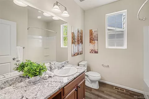 Bath - 3146 Hawthorne Ln, Dacono, CO 80514 photo 2 of 2