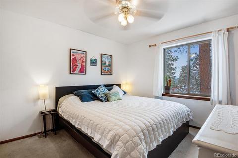 106 Wisp Creek Dr, Bailey, CO 80421 photo 27