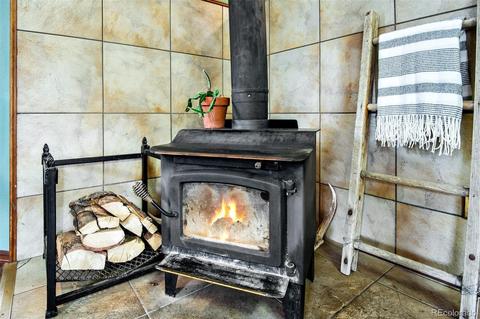 106 Wisp Creek Dr, Bailey, CO 80421 photo 17