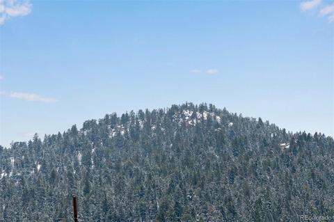 106 Wisp Creek Dr, Bailey, CO 80421 photo 7