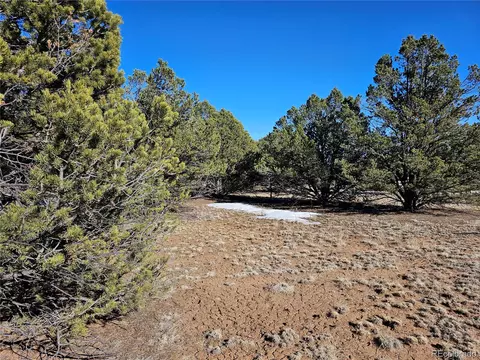 R Path, Cotopaxi, CO 81223 photo 24