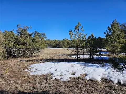 R Path, Cotopaxi, CO 81223 photo 17