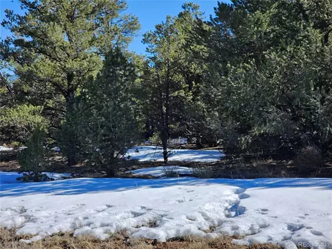 R Path, Cotopaxi, CO 81223 photo 29