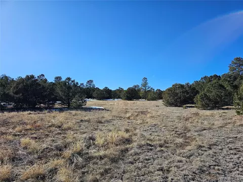 R Path, Cotopaxi, CO 81223 photo 5