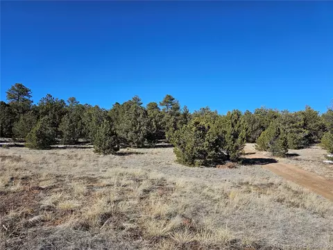 R Path, Cotopaxi, CO 81223 photo 3