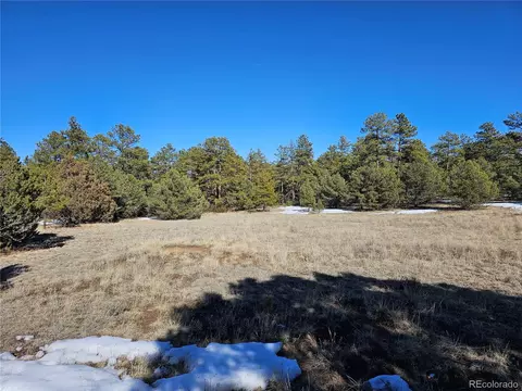 R Path, Cotopaxi, CO 81223 photo 18
