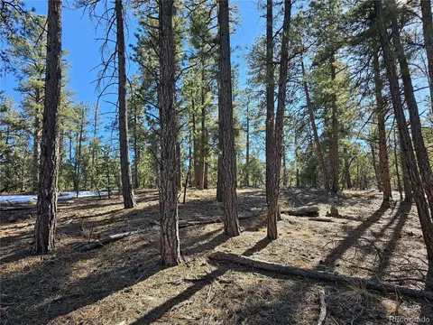 R Path, Cotopaxi, CO 81223 photo 10