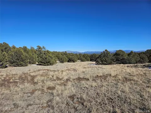 R Path, Cotopaxi, CO 81223 photo 32