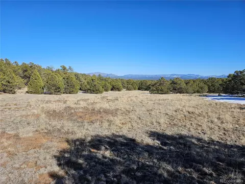 R Path, Cotopaxi, CO 81223 photo 26