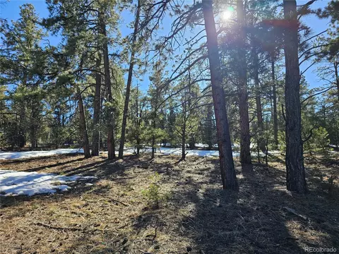 R Path, Cotopaxi, CO 81223 photo 8