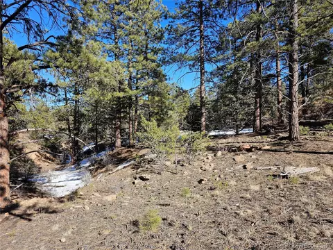 R Path, Cotopaxi, CO 81223 photo 15