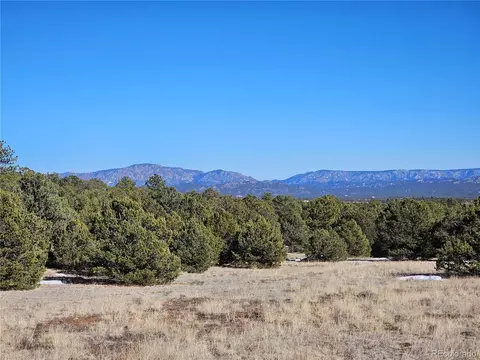 R Path, Cotopaxi, CO 81223 photo 27